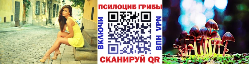 Псилоцибиновые грибы Cubensis  купить   ОМГ ОМГ рабочий сайт  Ахтубинск 