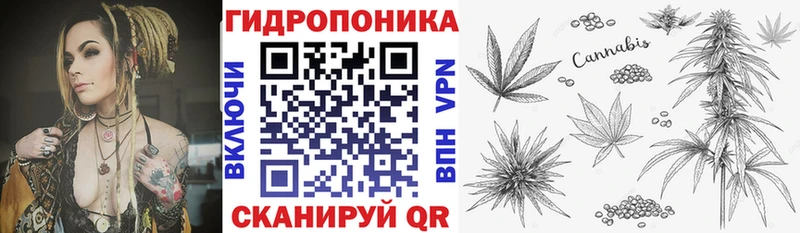 Каннабис White Widow Ахтубинск